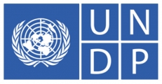  UNDP